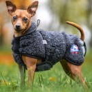 Ambassadør ulldekken L Terrier thumbnail