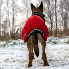 Thermo grønn-100% ull dekken hund softshell ytterstoff L thumbnail