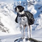 Non-Stop Dogwear Amundsen Pack Grey/Black Kløv S thumbnail