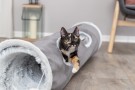 Harvey playing tunnel, plush thumbnail