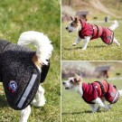 Ambassadør ulldekken M Terrier thumbnail
