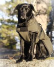 Thermo grønn-100% ull dekken hund softshell ytterstoff M/L 48cm thumbnail