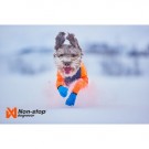 Non-stop dogwear Protector  snow KONDOMDRESS hannhund thumbnail