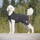 Ambassadør ulldekken M/L 48cm Terrier thumbnail