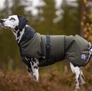 Thermo grønn-100% ull dekken hund softshell ytterstoff M/L 48cm thumbnail