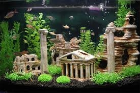Akvariemiljø