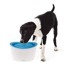 Fresh & Clear er den perfekte vannfontenen for hund 